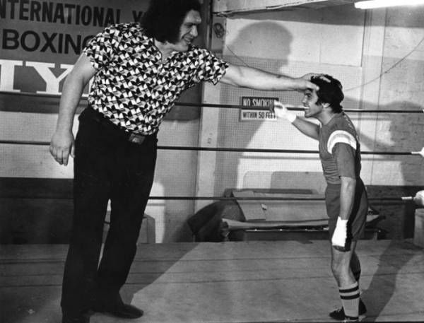 andre-the-giant-next-to-a-boxer1