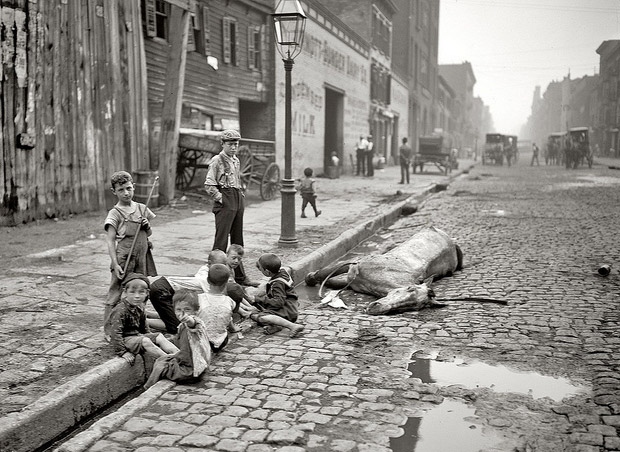 children-and-dead-horse-street-in-new-york-c-1895 (1)