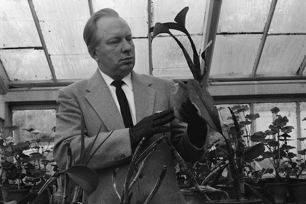 L. Ron Hubbard (1911 - 1986), writer of science fiction and founder of the Church of Scientology, in the greenhouse of his Sussex mansion, Saint Hill Manor, December 1959. He is using orchids to develop his theory that plants experience the same sensations and emotions as humans. (Photo by Chris Ware/Keystone Features/Getty Images)